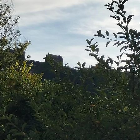 Maison Charmante A Saint-Satur Avec Jardin Et Terrasse Exterior foto